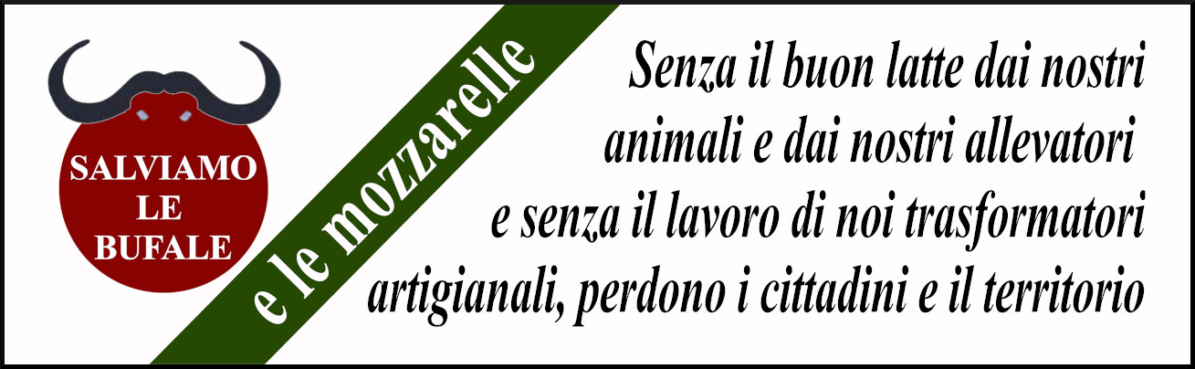 striscione_trasformatori