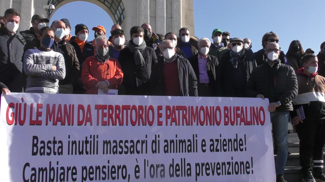 1-allevatori