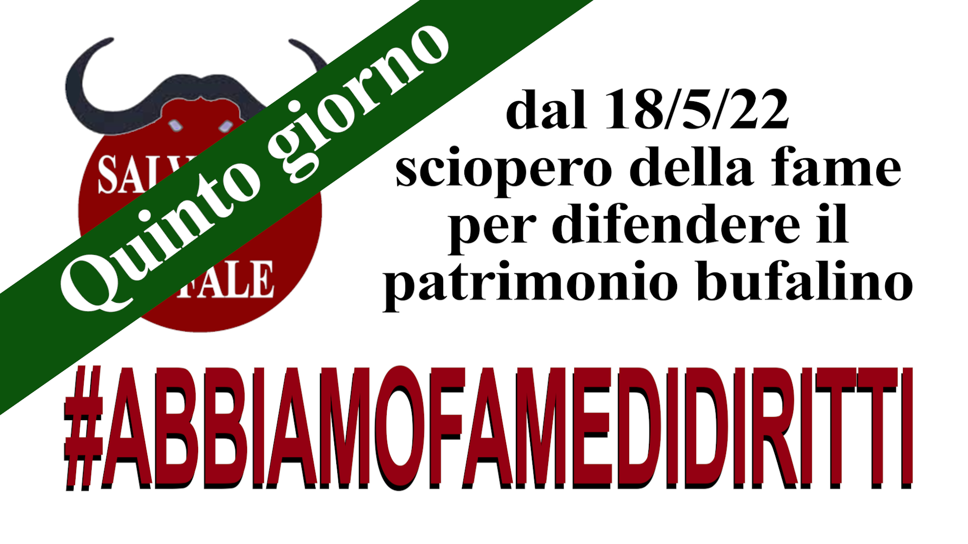 famedidiritti_quintogiorno