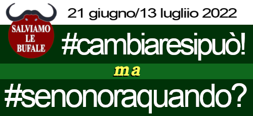 banner_cambiaresipuo