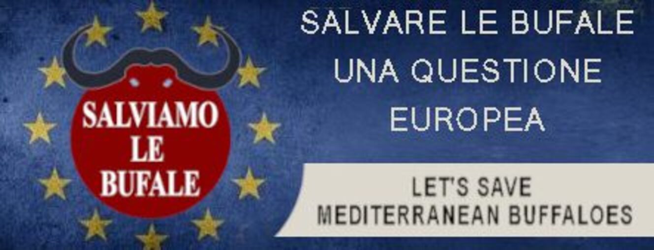 UNA-QUESTIONE-EUROPEA
