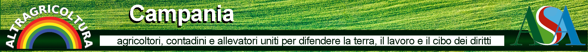 testata-2023_campania