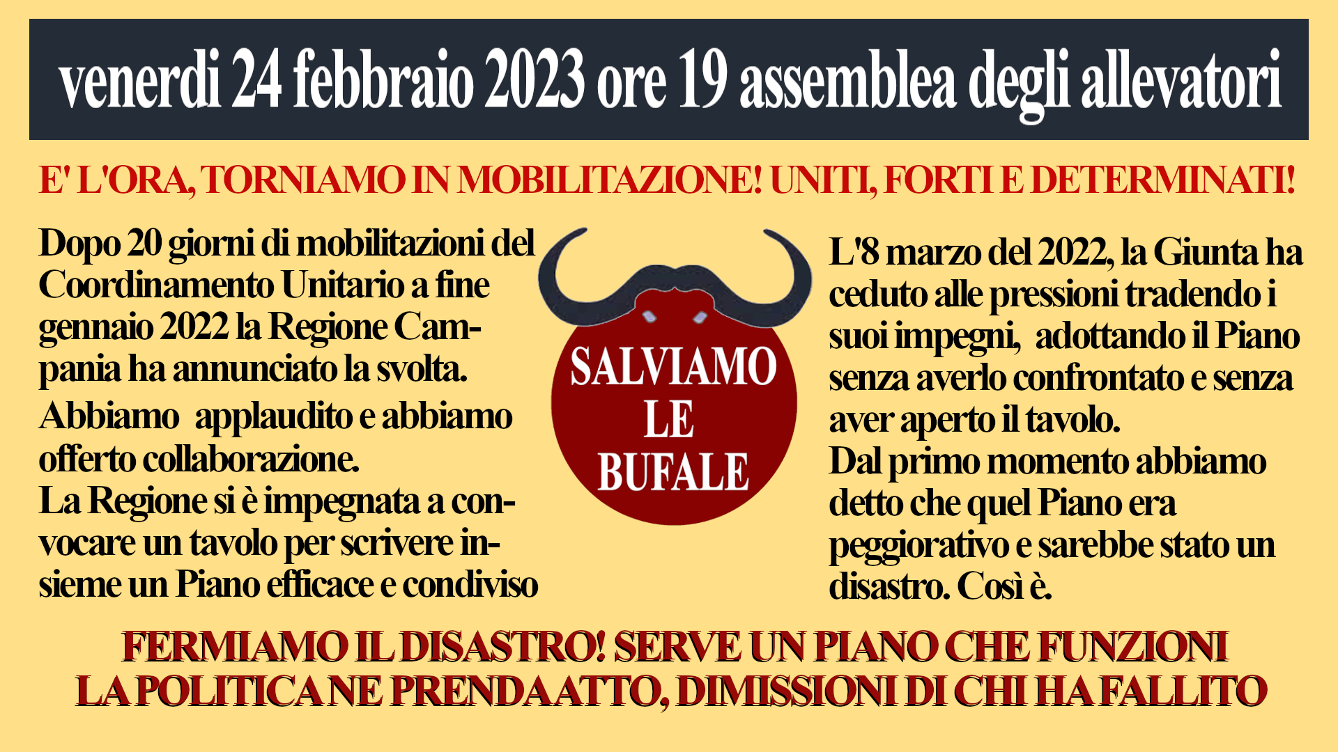 assemblea-24.2.23
