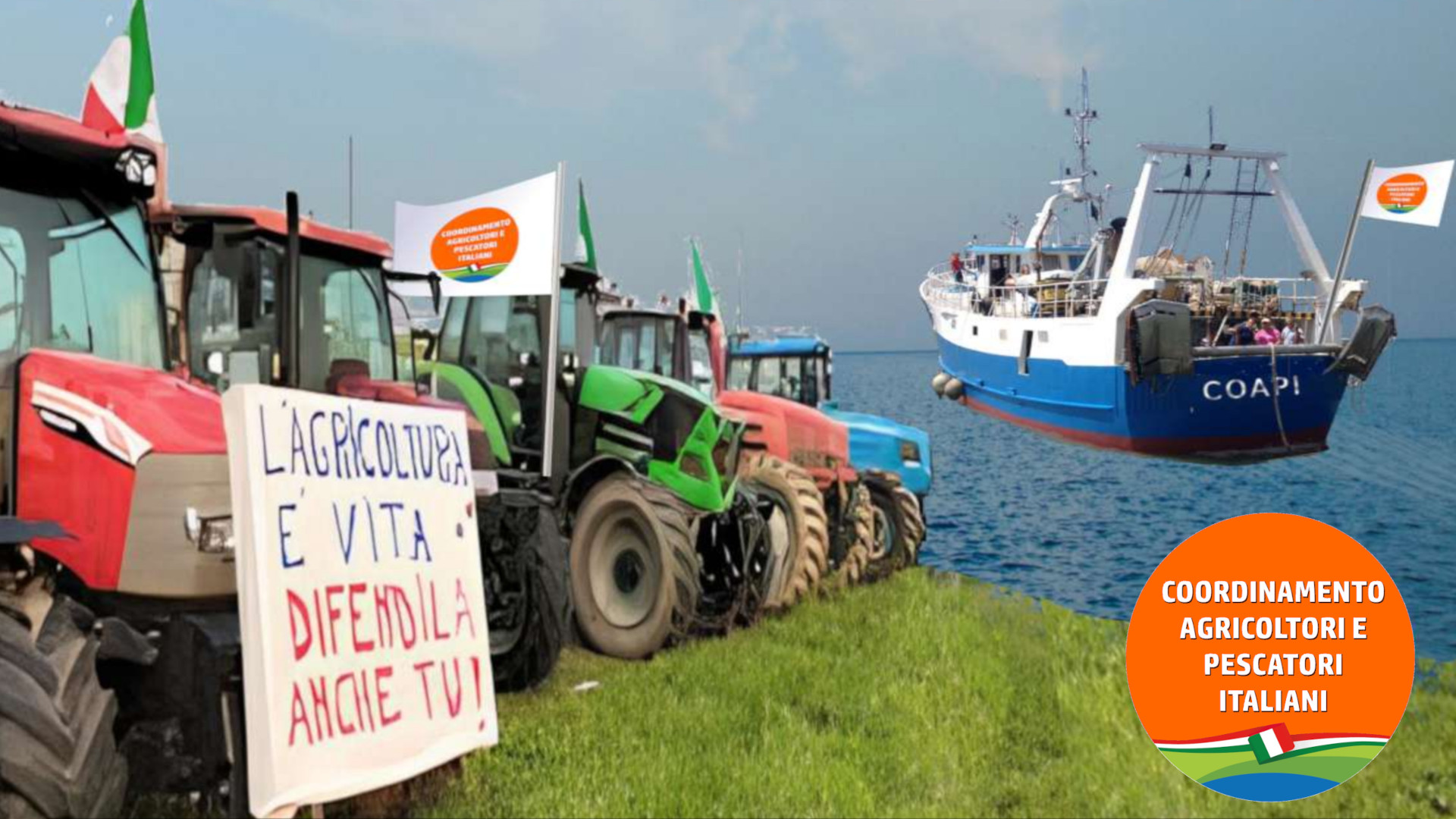 articolo_16.5.24