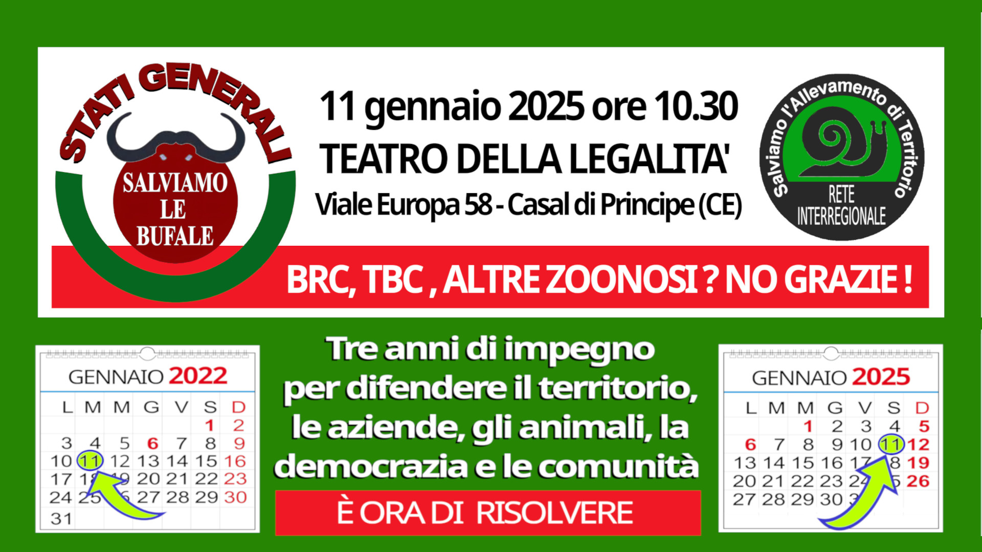 testata_articolo_8.1.25