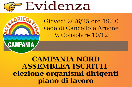 Sviluppare l’organizzazione in Campania per fare più forti i progetti e le istanze delle imprese