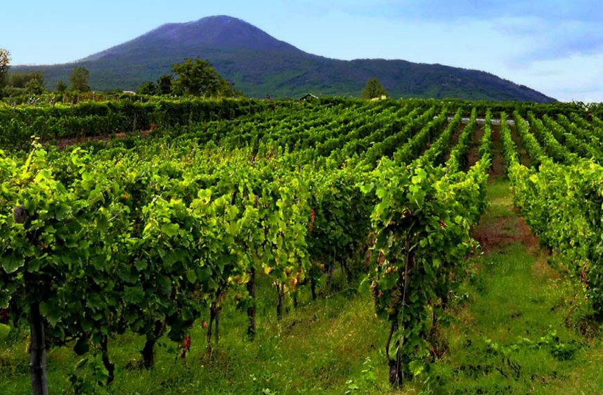 Si costituisce il Coordinamento Regionale Campano di Altragricoltura