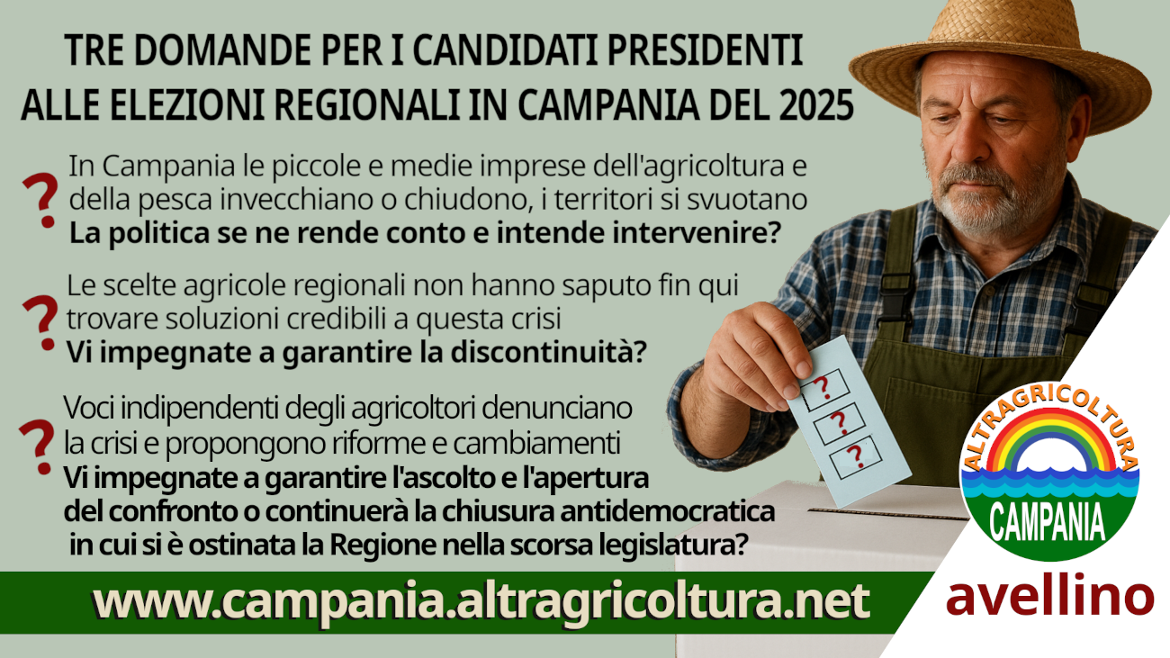 banner-tre-domande_avellino